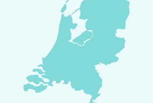 Rapid growth Rapid growth